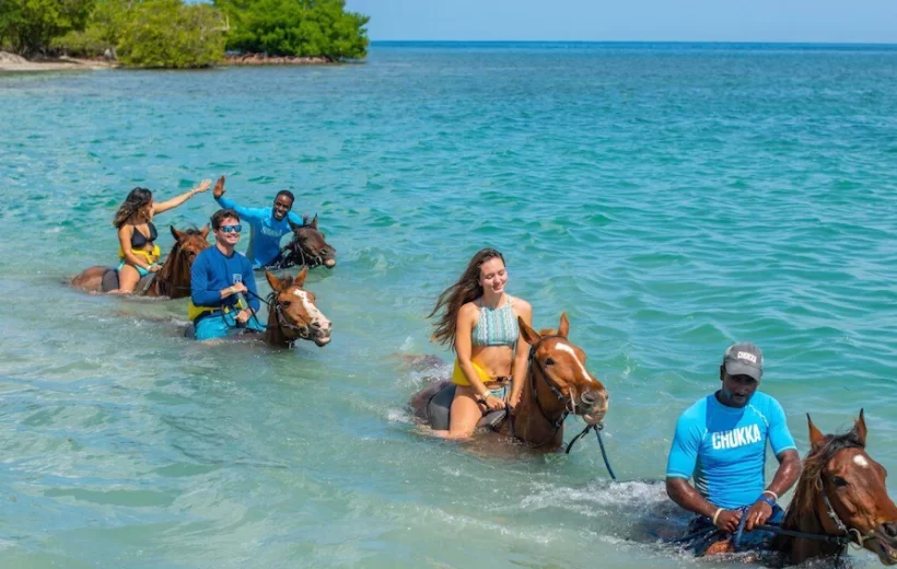 Horseback Beach Ride & Swim